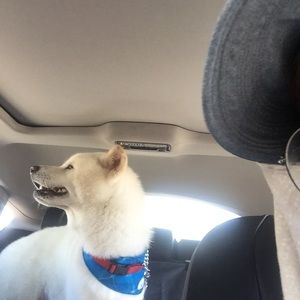 Meet your Posher, Lj